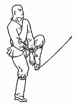 Иллюстрация к книге — Боевая гимнастика. Упражнения китайского ушу для здоровья и самозащиты [i_194.jpg]