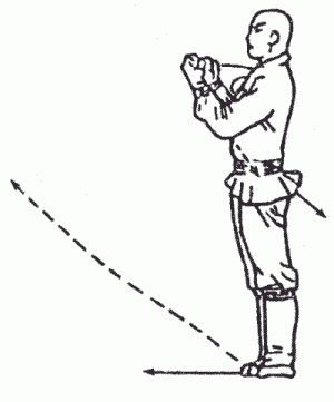 Иллюстрация к книге — Боевая гимнастика. Упражнения китайского ушу для здоровья и самозащиты [i_199.jpg]