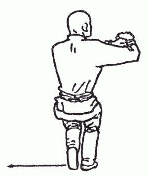 Иллюстрация к книге — Боевая гимнастика. Упражнения китайского ушу для здоровья и самозащиты [i_207.jpg]