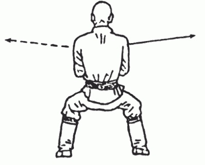 Иллюстрация к книге — Боевая гимнастика. Упражнения китайского ушу для здоровья и самозащиты [i_208.jpg]