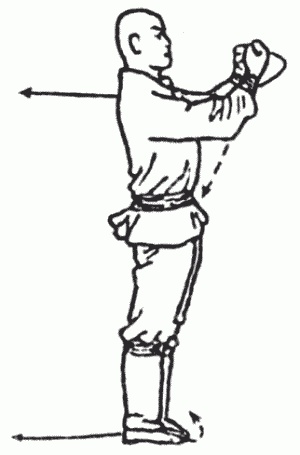 Иллюстрация к книге — Боевая гимнастика. Упражнения китайского ушу для здоровья и самозащиты [i_240.jpg]