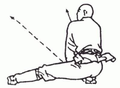 Иллюстрация к книге — Боевая гимнастика. Упражнения китайского ушу для здоровья и самозащиты [i_242.jpg]