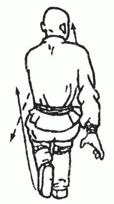 Иллюстрация к книге — Боевая гимнастика. Упражнения китайского ушу для здоровья и самозащиты [i_244.jpg]