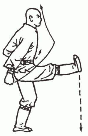 Иллюстрация к книге — Боевая гимнастика. Упражнения китайского ушу для здоровья и самозащиты [i_269.jpg]