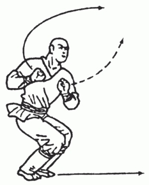 Иллюстрация к книге — Боевая гимнастика. Упражнения китайского ушу для здоровья и самозащиты [i_273.jpg]