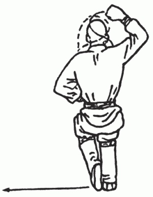 Иллюстрация к книге — Боевая гимнастика. Упражнения китайского ушу для здоровья и самозащиты [i_279.jpg]