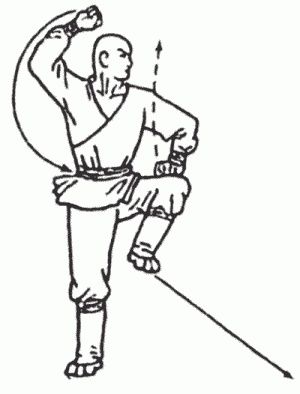 Иллюстрация к книге — Боевая гимнастика. Упражнения китайского ушу для здоровья и самозащиты [i_289.jpg]