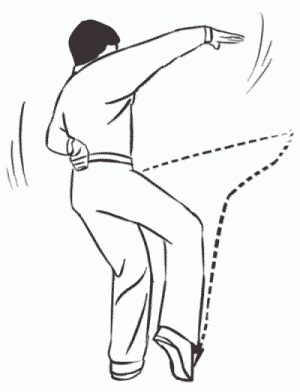 Иллюстрация к книге — Боевая гимнастика. Упражнения китайского ушу для здоровья и самозащиты [i_327.jpg]