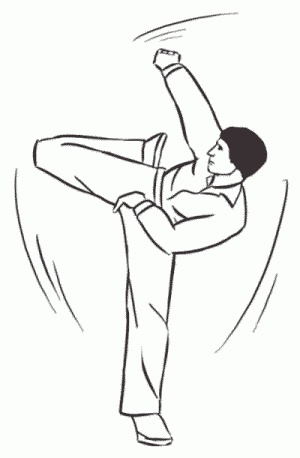 Иллюстрация к книге — Боевая гимнастика. Упражнения китайского ушу для здоровья и самозащиты [i_329.jpg]