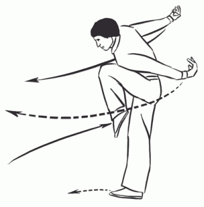 Иллюстрация к книге — Боевая гимнастика. Упражнения китайского ушу для здоровья и самозащиты [i_339.jpg]