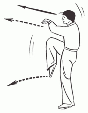 Иллюстрация к книге — Боевая гимнастика. Упражнения китайского ушу для здоровья и самозащиты [i_346.jpg]