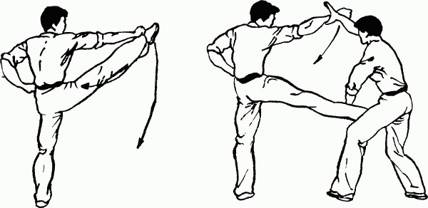 Иллюстрация к книге — Боевая гимнастика. Упражнения китайского ушу для здоровья и самозащиты [i_366.jpg]