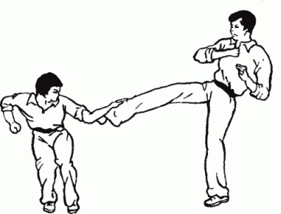 Иллюстрация к книге — Боевая гимнастика. Упражнения китайского ушу для здоровья и самозащиты [i_371.jpg]