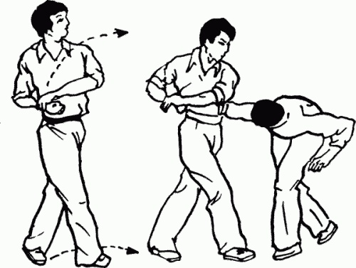 Иллюстрация к книге — Боевая гимнастика. Упражнения китайского ушу для здоровья и самозащиты [i_381.jpg]