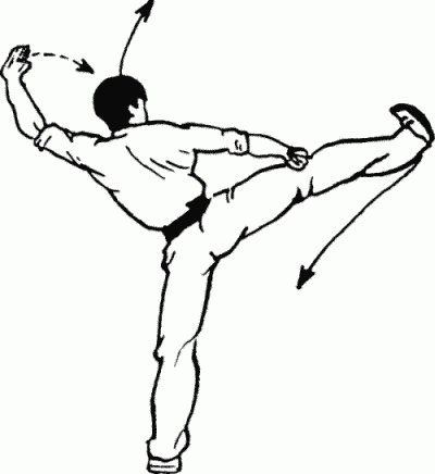 Иллюстрация к книге — Боевая гимнастика. Упражнения китайского ушу для здоровья и самозащиты [i_384.jpg]