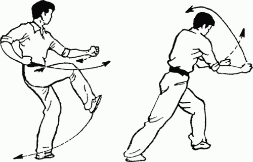 Иллюстрация к книге — Боевая гимнастика. Упражнения китайского ушу для здоровья и самозащиты [i_387.jpg]