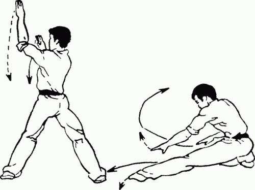 Иллюстрация к книге — Боевая гимнастика. Упражнения китайского ушу для здоровья и самозащиты [i_405.jpg]