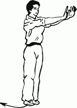 Иллюстрация к книге — Боевая гимнастика. Упражнения китайского ушу для здоровья и самозащиты [i_411.jpg]