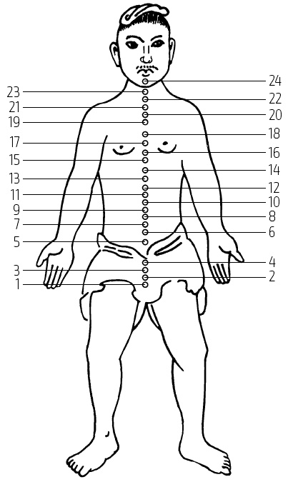 Иллюстрация к книге — Цигун – китайская гимнастика для здоровья. Современное руководство по древней методике исцеления [i_018.jpg]