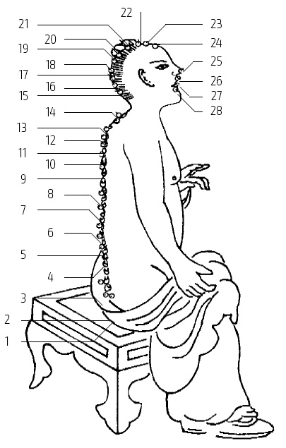 Иллюстрация к книге — Цигун – китайская гимнастика для здоровья. Современное руководство по древней методике исцеления [i_019.jpg]