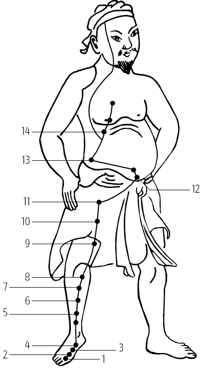 Иллюстрация к книге — Цигун – китайская гимнастика для здоровья. Современное руководство по древней методике исцеления [i_040.jpg]