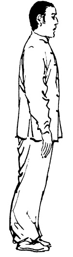 Иллюстрация к книге — Цигун – китайская гимнастика для здоровья. Современное руководство по древней методике исцеления [i_061.jpg]