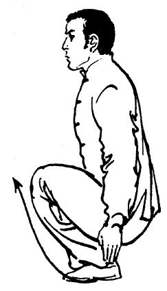 Иллюстрация к книге — Цигун – китайская гимнастика для здоровья. Современное руководство по древней методике исцеления [i_073.jpg]