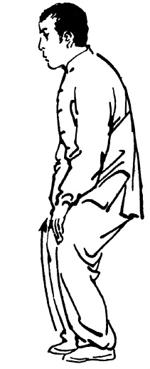 Иллюстрация к книге — Цигун – китайская гимнастика для здоровья. Современное руководство по древней методике исцеления [i_074.jpg]