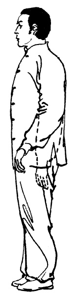 Иллюстрация к книге — Цигун – китайская гимнастика для здоровья. Современное руководство по древней методике исцеления [i_075.jpg]