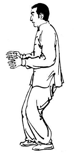 Иллюстрация к книге — Цигун – китайская гимнастика для здоровья. Современное руководство по древней методике исцеления [i_083.jpg]