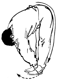 Иллюстрация к книге — Цигун – китайская гимнастика для здоровья. Современное руководство по древней методике исцеления [i_104.jpg]