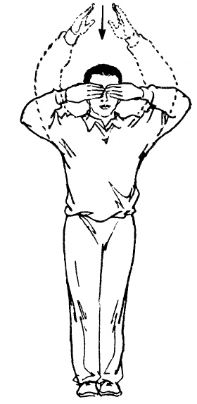 Иллюстрация к книге — Цигун – китайская гимнастика для здоровья. Современное руководство по древней методике исцеления [i_110.jpg]