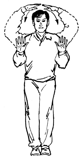 Иллюстрация к книге — Цигун – китайская гимнастика для здоровья. Современное руководство по древней методике исцеления [i_117.jpg]