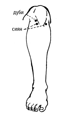 Иллюстрация к книге — Цигун – китайская гимнастика для здоровья. Современное руководство по древней методике исцеления [i_169.jpg]