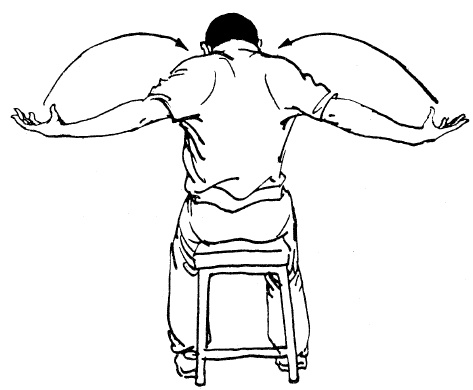 Иллюстрация к книге — Цигун – китайская гимнастика для здоровья. Современное руководство по древней методике исцеления [i_186.jpg]