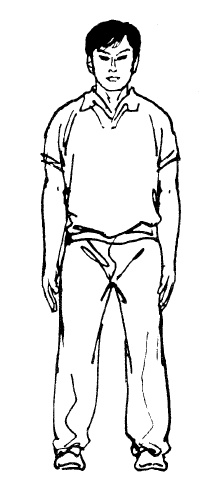 Иллюстрация к книге — Цигун – китайская гимнастика для здоровья. Современное руководство по древней методике исцеления [i_200.jpg]