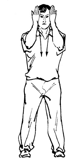 Иллюстрация к книге — Цигун – китайская гимнастика для здоровья. Современное руководство по древней методике исцеления [i_218.jpg]