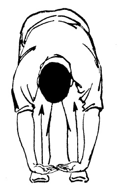 Иллюстрация к книге — Цигун – китайская гимнастика для здоровья. Современное руководство по древней методике исцеления [i_228.jpg]