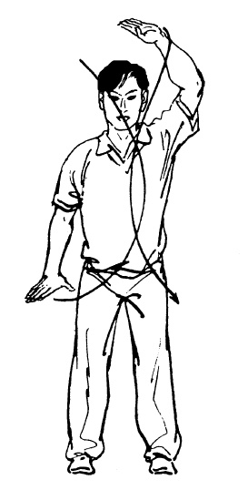 Иллюстрация к книге — Цигун – китайская гимнастика для здоровья. Современное руководство по древней методике исцеления [i_231.jpg]