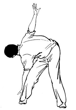 Иллюстрация к книге — Цигун – китайская гимнастика для здоровья. Современное руководство по древней методике исцеления [i_234.jpg]