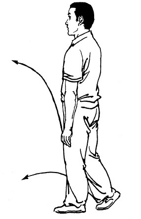 Иллюстрация к книге — Цигун – китайская гимнастика для здоровья. Современное руководство по древней методике исцеления [i_244.jpg]