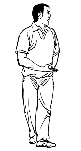 Иллюстрация к книге — Цигун – китайская гимнастика для здоровья. Современное руководство по древней методике исцеления [i_245.jpg]