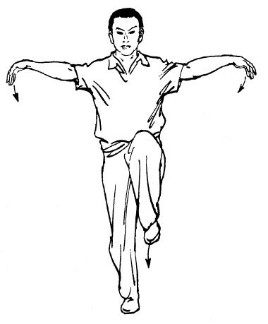 Иллюстрация к книге — Цигун – китайская гимнастика для здоровья. Современное руководство по древней методике исцеления [i_252.jpg]