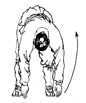 Иллюстрация к книге — Цигун – китайская гимнастика для здоровья. Современное руководство по древней методике исцеления [i_272.jpg]