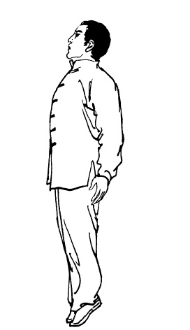 Иллюстрация к книге — Цигун – китайская гимнастика для здоровья. Современное руководство по древней методике исцеления [i_284.jpg]