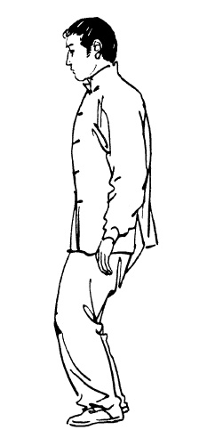 Иллюстрация к книге — Цигун – китайская гимнастика для здоровья. Современное руководство по древней методике исцеления [i_285.jpg]