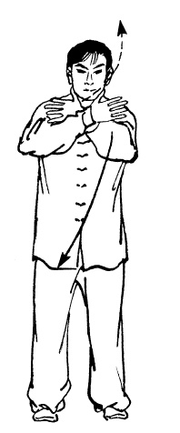 Иллюстрация к книге — Цигун – китайская гимнастика для здоровья. Современное руководство по древней методике исцеления [i_301.jpg]