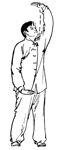 Иллюстрация к книге — Цигун – китайская гимнастика для здоровья. Современное руководство по древней методике исцеления [i_302.jpg]