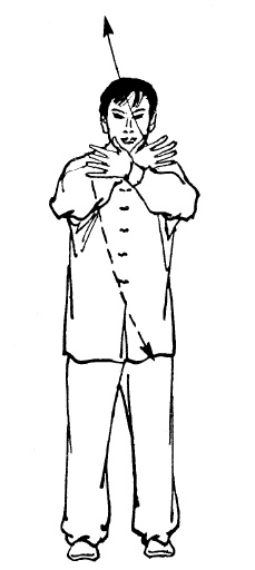 Иллюстрация к книге — Цигун – китайская гимнастика для здоровья. Современное руководство по древней методике исцеления [i_303.jpg]