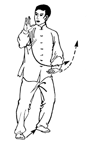 Иллюстрация к книге — Цигун – китайская гимнастика для здоровья. Современное руководство по древней методике исцеления [i_330.jpg]